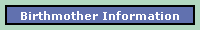 birthmotherinfo.htm