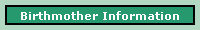birthmotherinfo.htm