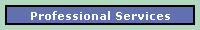 Professional Services