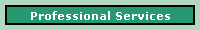 Professional Services